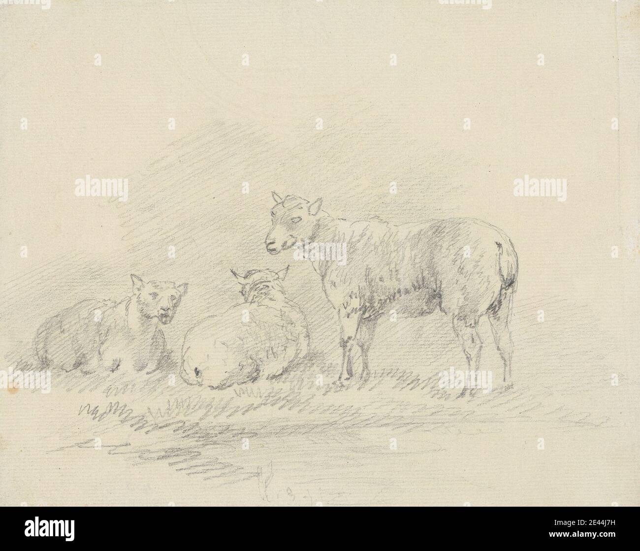 Sawrey Gilpin, 1733â € "1807, britische, drei Schafe, undated. Graphit- und weiße Gouache auf Medium, mäßig strukturiert, gebläut weiß, getuschtes Papier, aufgezogen, mäßig dick, leicht strukturiert, cremefarben, gewebt. Tierkunst Stockfoto