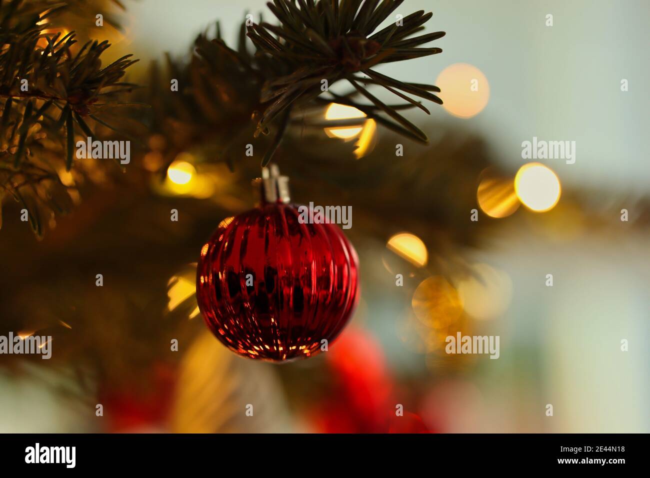 Hängender roter Weihnachtsschmuck auf Baum während der festlichen Jahreszeit. Glänzender Ball-Anhänger auf Baumzweig. Stockfoto