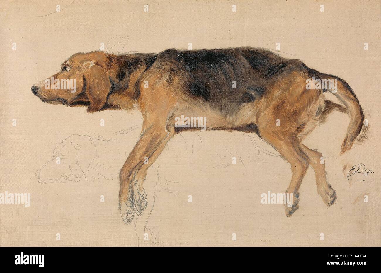 Sir Edwin Henry Landseer, 1802â € "1873, britische, Studie eines Hundes liegend, 1860. Öl auf Leinwand. Tierkunst, Hund (Tier) Stockfoto