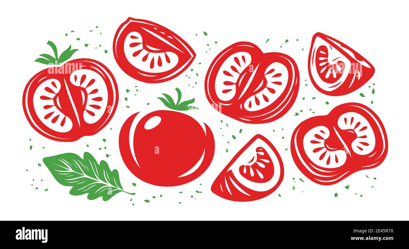 Sammlung von frischen roten Tomaten. Hälfte, Tomatenscheibe Stock Vektor