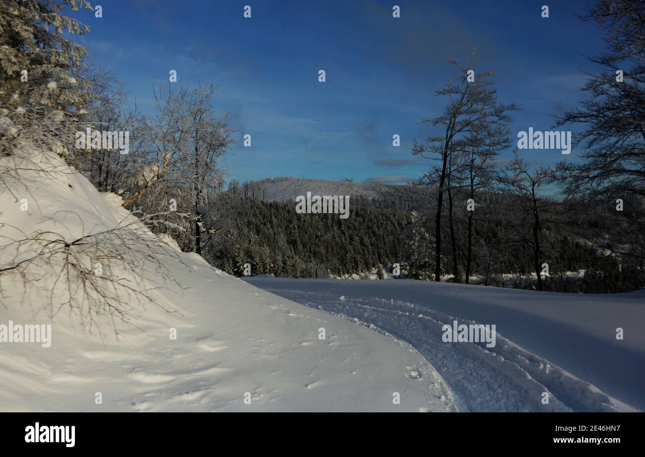 Ein schöner Winter in den Schlesischen Beskiden. Der Weg auf der Malinowska Skala Malinowska Skala - ein tropischer Gipfel im Hauptkamm der Barania Gora Stockfoto