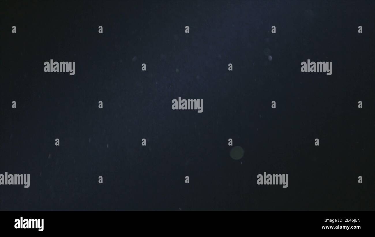 Naturstaub Organische schwimmende Partikel im Lichtstrahl der Bühne (Spot) auf schwarzem Hintergrund SGI und VFX zum Compositing und Overlaying. Staub in Luftatmosphäre Stockfoto