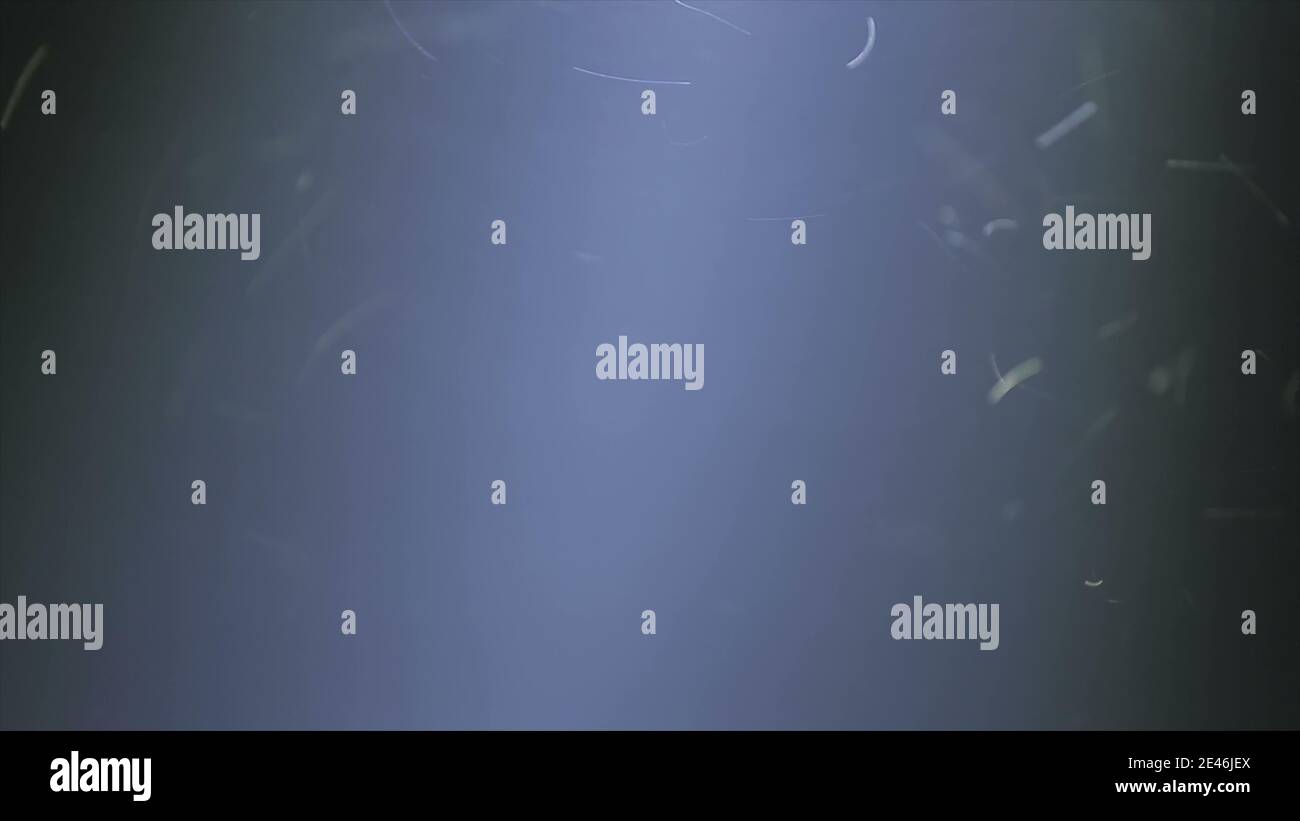 Naturstaub Organische schwimmende Partikel im Lichtstrahl der Bühne (Spot) auf schwarzem Hintergrund SGI und VFX zum Compositing und Overlaying. Staub in Luftatmosphäre Stockfoto