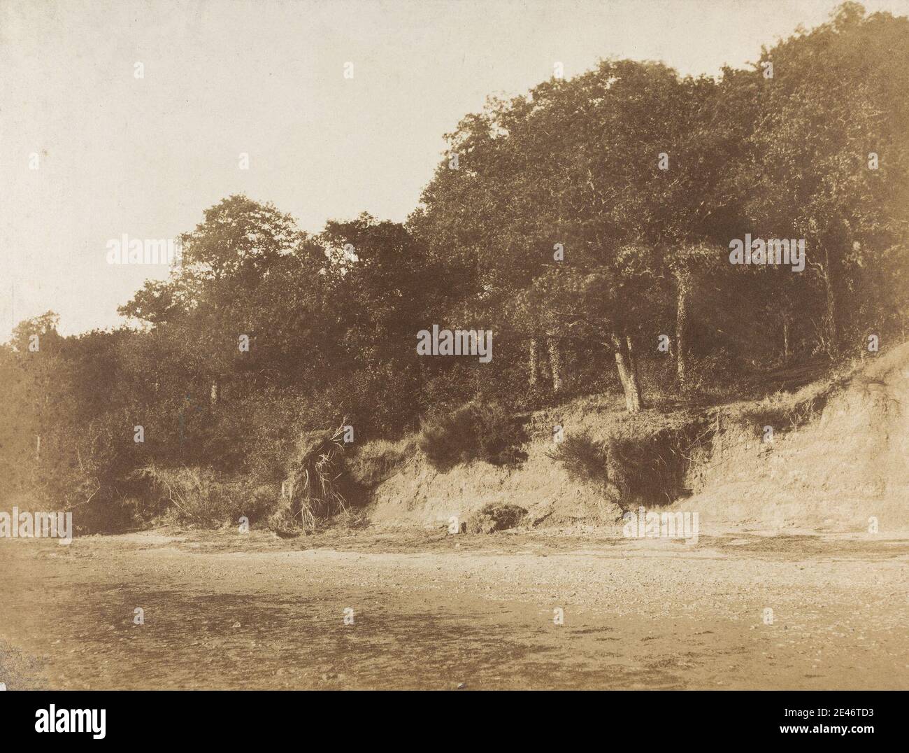 Robert Burrows, 1810–1883, britisch, Ufers of the River Orwell, ca. 1859. Gesalzener Papierdruck aus gewachsten Papier negativ auf dünnes, glattes, cremefarbenes Papier. Landschaft, Fluss, Bäume. England, Suffolk, Vereinigtes Königreich Stockfoto Robert Burrows, 1810–1883, britisch, Ufers of the River Orwell, ca. 1859. Gesalzener Papierdruck aus gewachsten Papier negativ auf dünnes, glattes, cremefarbenes Papier. Landschaft, Fluss, Bäume. England, Suffolk, Vereinigtes Königreich Stockfoto