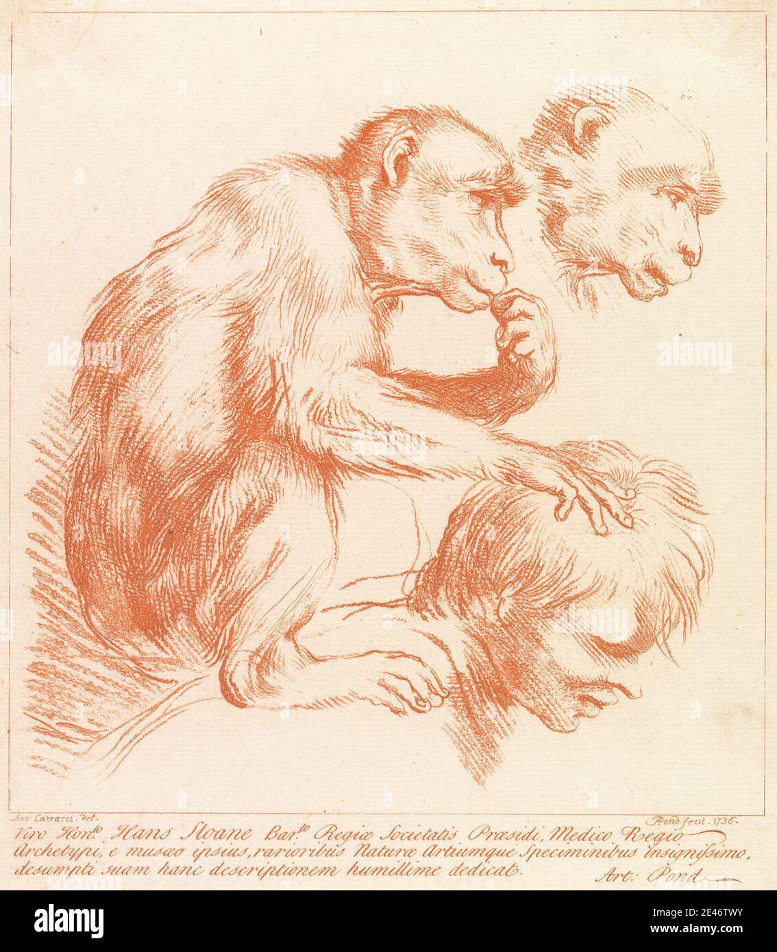 Arthur Pond, ca. 1705–1758, Britisch, ohne Titel: Zwei Affen und ein Mann, 1740. Public Domain Stockfoto