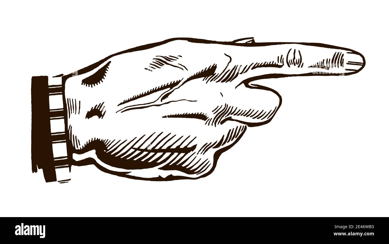 Rückseite einer männlichen menschlichen Hand mit Zeigefinger, nach einem antiken Stich aus dem frühen 20. Jahrhundert Stock Vektor