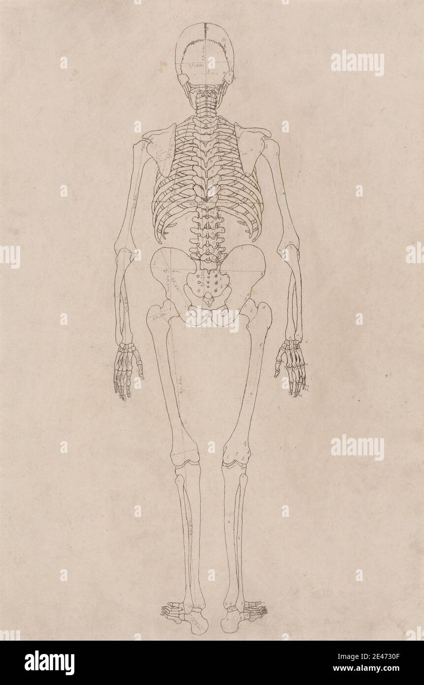 George Stubbs, 1724–1806, britisch, menschliches Skelett, posteriore Ansicht (bezieht sich auf Tabelle II), 1795 bis 1806. Tinte mit Spuren von Graphit auf Creme, dünn, glatt, wove Papier. Anatomische Studie, Anatomie, Rücken, Figur Studie, Mann, Skelett, Wirbelsäule Stockfoto