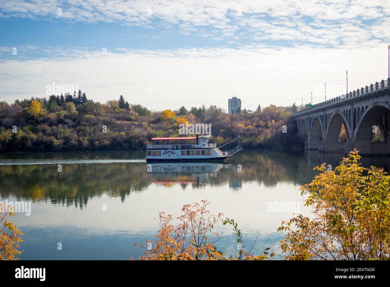 Das Flussboot Prairie Lily fährt an einem frischen Herbsttag auf dem South Saskatchewan River in Saskatoon, Kanada. Die Universitätsbrücke befindet sich auf der rechten Seite. Stockfoto