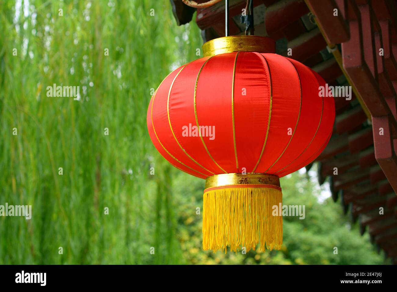 Einzelne rote Laterne hängt in einem Park in Jiaxing, China. Diese werden oft um das chinesische Neujahr als traditionelles Symbol gesehen. Stockfoto