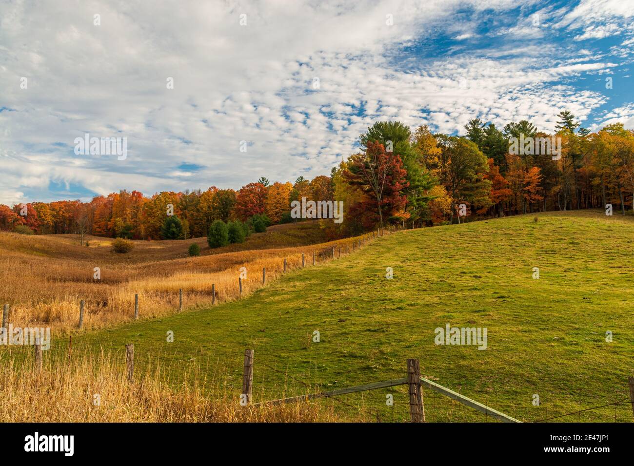 Ferris Provincial Park Trent Hills Campbellford Ontario Kanada im Herbst Stockfoto