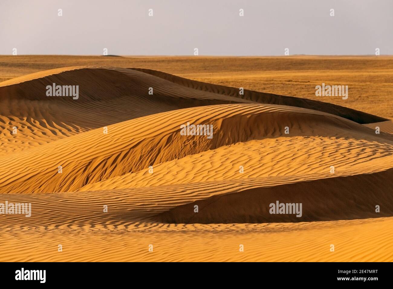Riesige Dünen der Wüste. Schöne Strukturen von sandigen barkhan oder Sand-Düne. Wellen durch Wind auf der Sandoberfläche. Stockfoto
