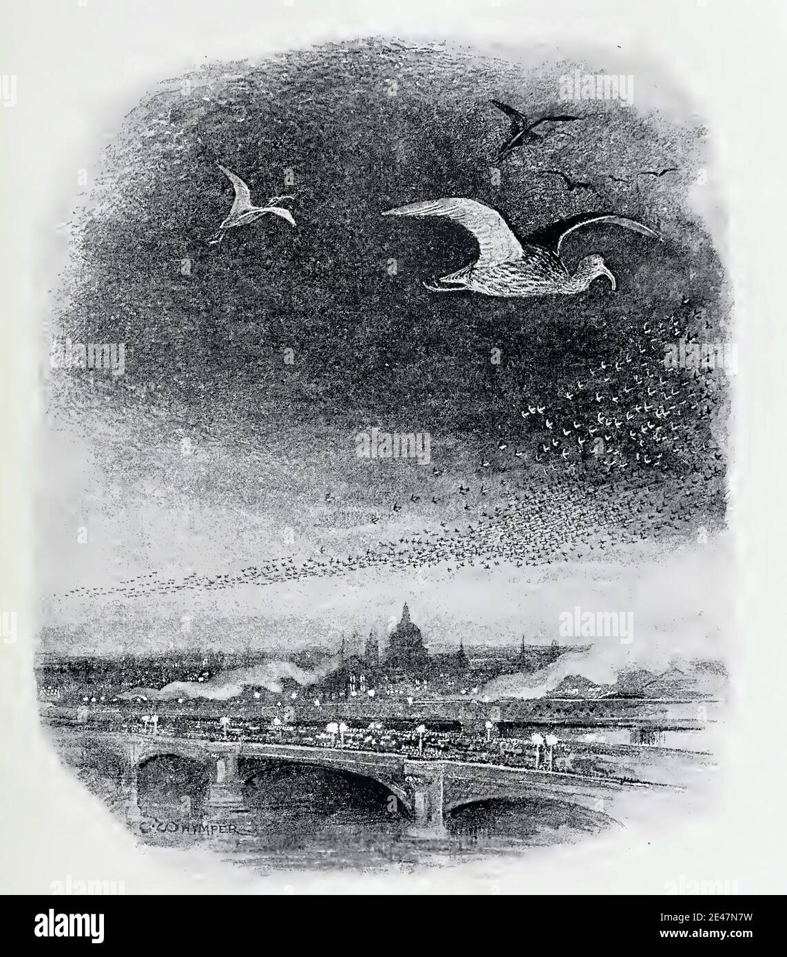 Vintage Illustration von Charles Whymper mit dem Titel Wandervögel, die vorbeiziehen London bei Nacht ab 1894 Stockfoto