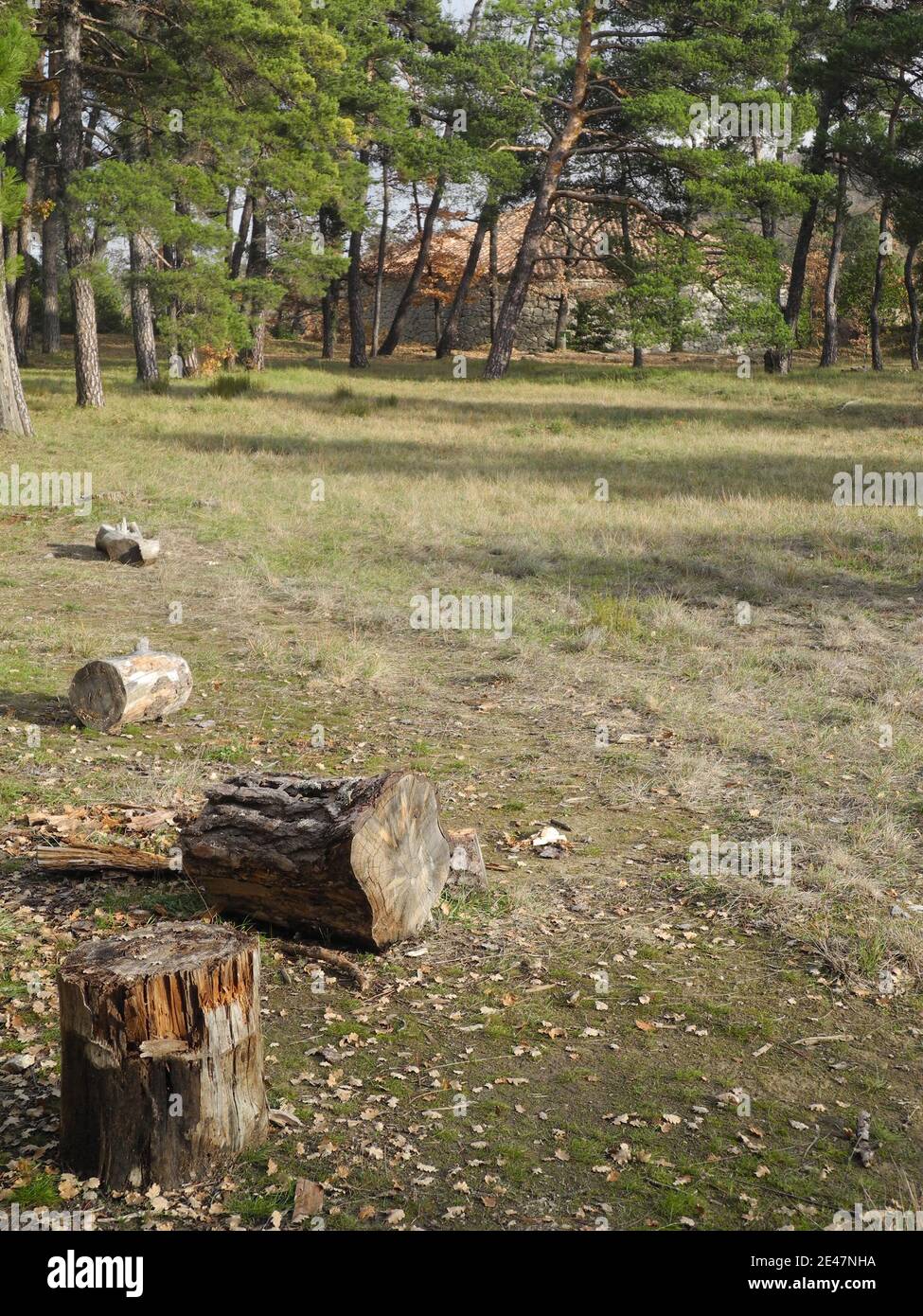 Galcière (Eishaus) Pivaut - Sainte Baume Stockfoto