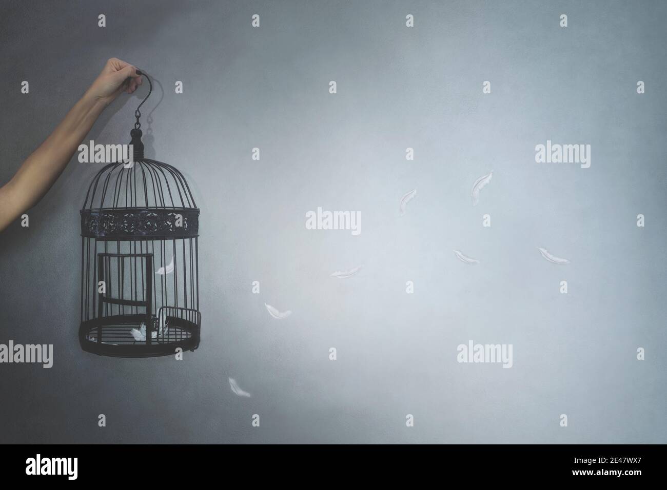 Person gibt einem Vogel Freiheit, der in einem Käfig eingesperrt ist, Federn fliegen, Konzept der Freiheit Stockfoto