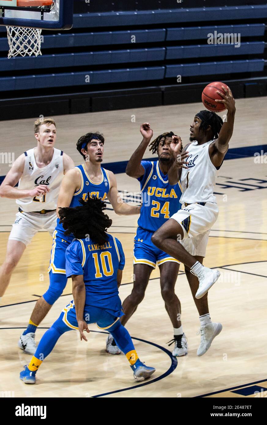 Hass Pavilion Berkeley Calif, USA. Januar 2021. CA U.S.A. der kalifornische Wachmann Joel Brown (1) fährt während des NCAA Männer Basketballspiels zwischen UCLA Bruins und den California Golden Bears 57-61 verloren im Hass Pavilion Berkeley Calif. Thurman James/CSM/Alamy Live News in den Korb Stockfoto