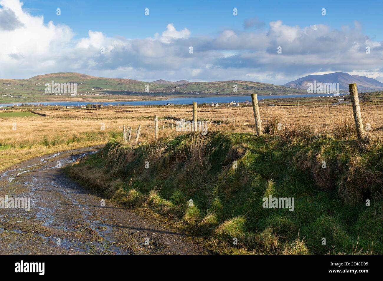 Irische Landstraße, in der Nähe von Portmagee, Grafschaft Kerry Stockfoto