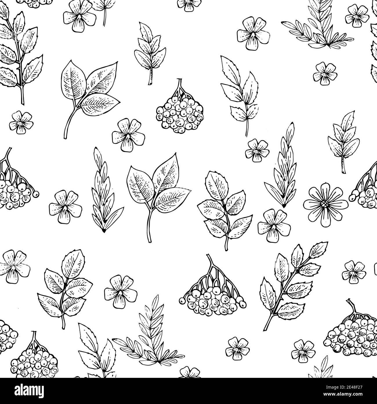 Zweige und Früchte der Bergasche. Nahtloses Muster für Tapete und Stoff. Hintergrunddarstellung. Handzeichnung Umriss. Blüte des Gartens Stockfoto