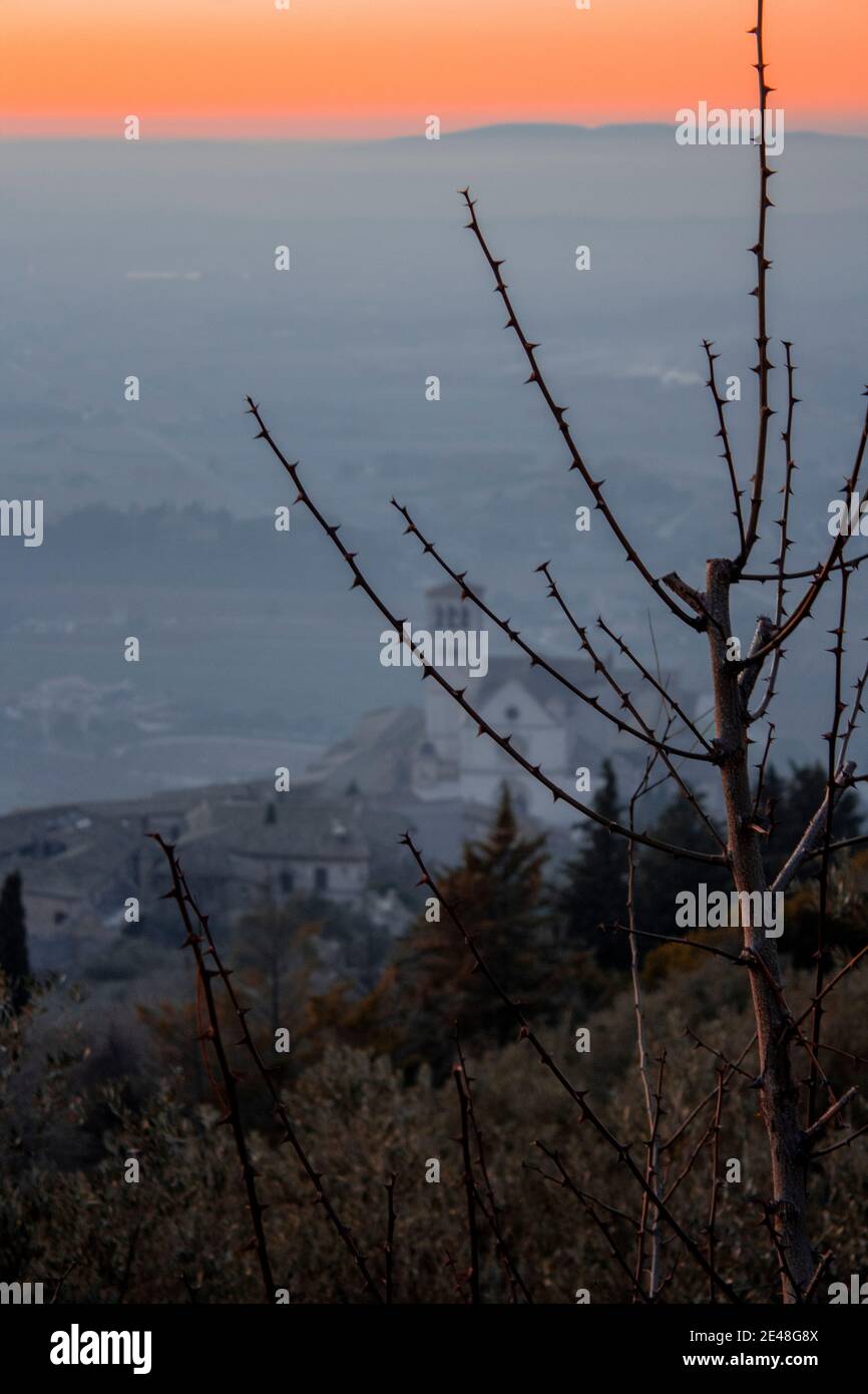 Panoramablick auf die Basilika von St. Francis von Assisi von Hügeln (Basilica Papale di San Francesco) in schönen goldenen Sonnenuntergang Stockfoto