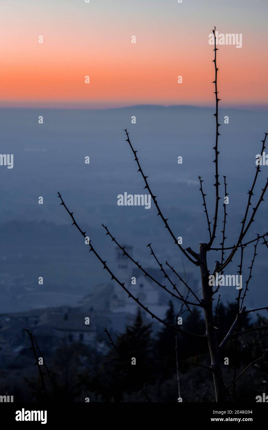 Panoramablick auf die Basilika von St. Francis von Assisi von Hügeln (Basilica Papale di San Francesco) in schönen goldenen Sonnenuntergang Stockfoto