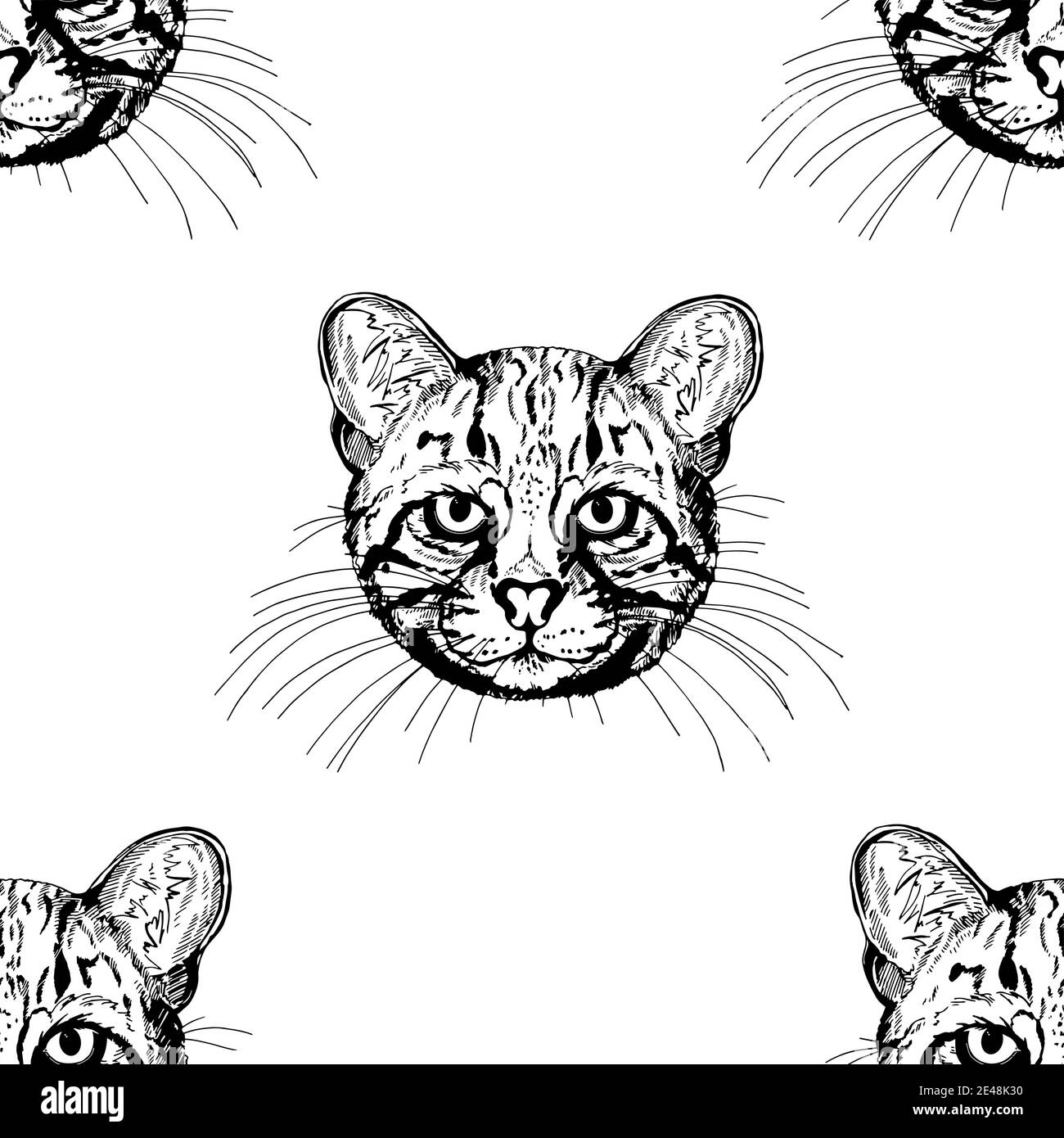 Nahtloses Muster von Hand gezeichnet Skizze Stil Geoffroys Katzen isoliert auf weißem Hintergrund. Vektorgrafik. Stock Vektor