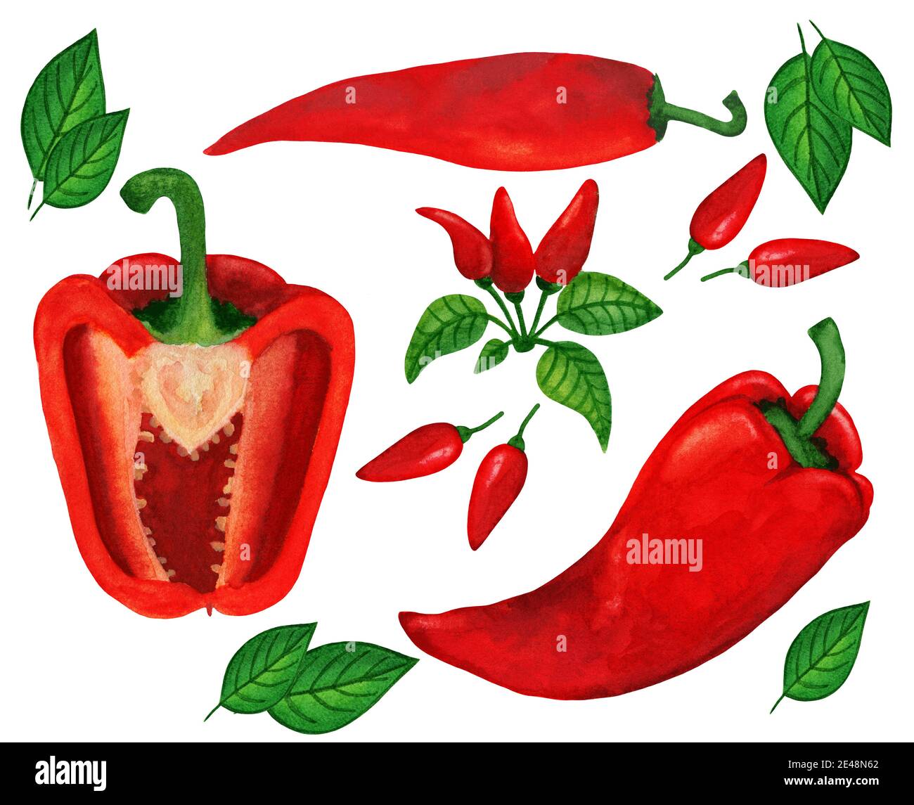 Scharfe und süße rote Paprika großen Aquarell-Set Stockfoto