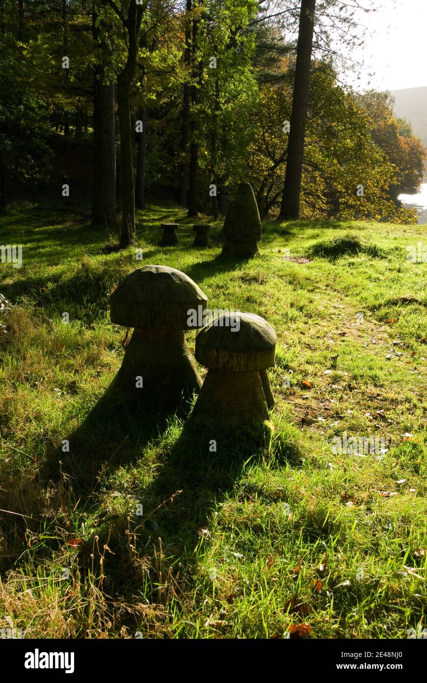 Skulpturen aus Holz Pilze in der Nähe von Fairholme Besucher Zentrum, Ladybower Vorratsbehälter, Peak District in Derbyshire, England, UK Stockfoto