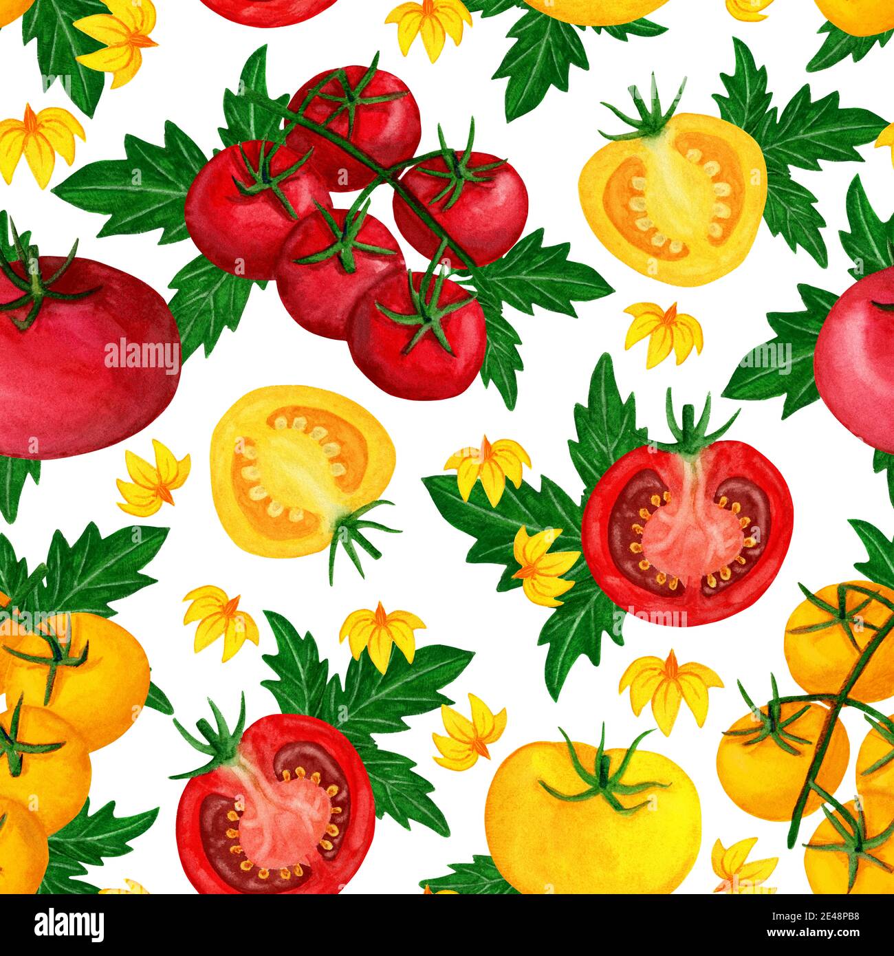Aquarell Tomate nahtlose Muster mit Blume Stockfoto