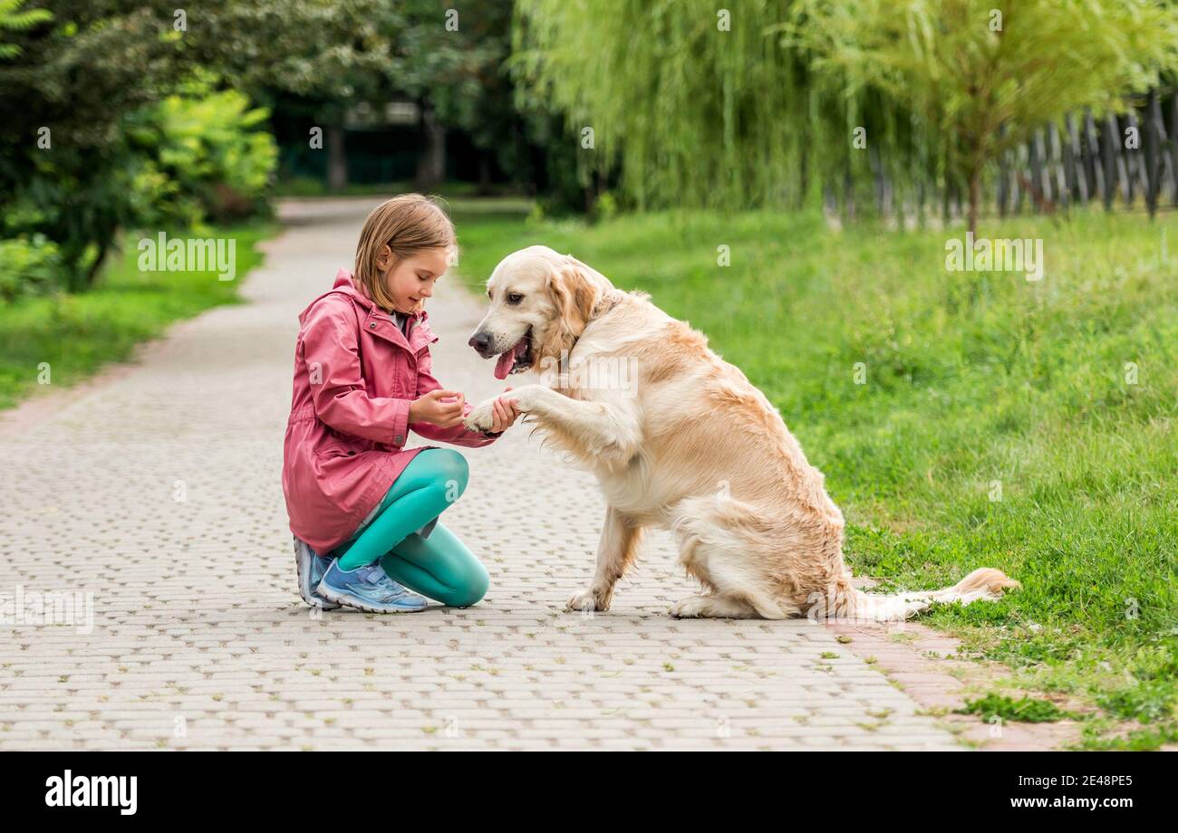 Golden Retriever geben Pfote zu kleinen Mädchen Stockfoto