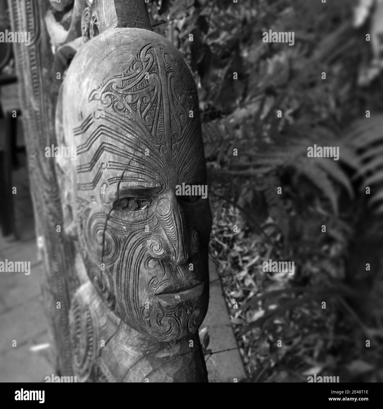 ROTORUA, NEUSEELAND - 04. Jan 2016: Maori Maske eines Kriegers aus Holz in Rotorua, Neuseeland. Stockfoto