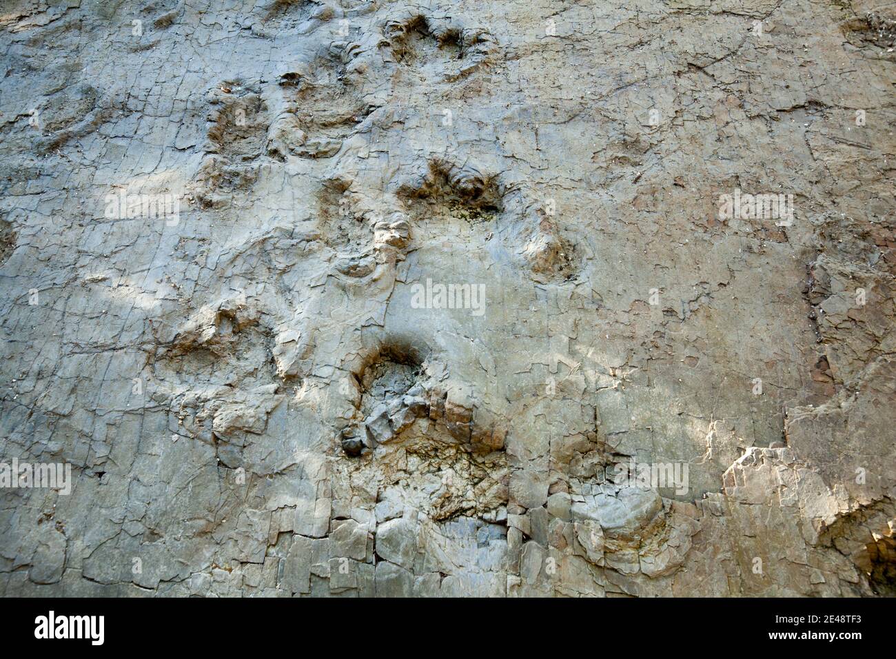Dinosaurierspuren Barkhausen bei Bad Essen, Osnabrücker Land Stockfoto