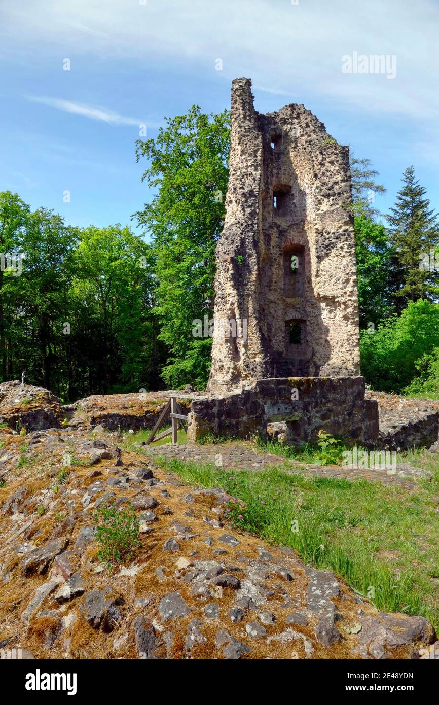 Burg dagstuhl Fotos und Bildmaterial in hoher Auflösung Alamy
