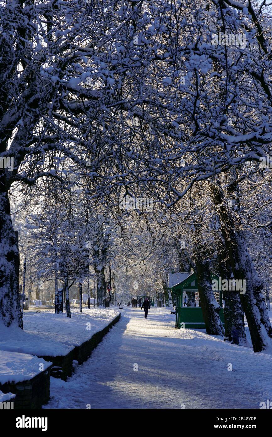 In der Ferne, West Park in Harrogate, North Yorkshire, England, kann man nach dem Schneefall einen langen, von Bäumen gesäumten Fußweg sehen. Stockfoto