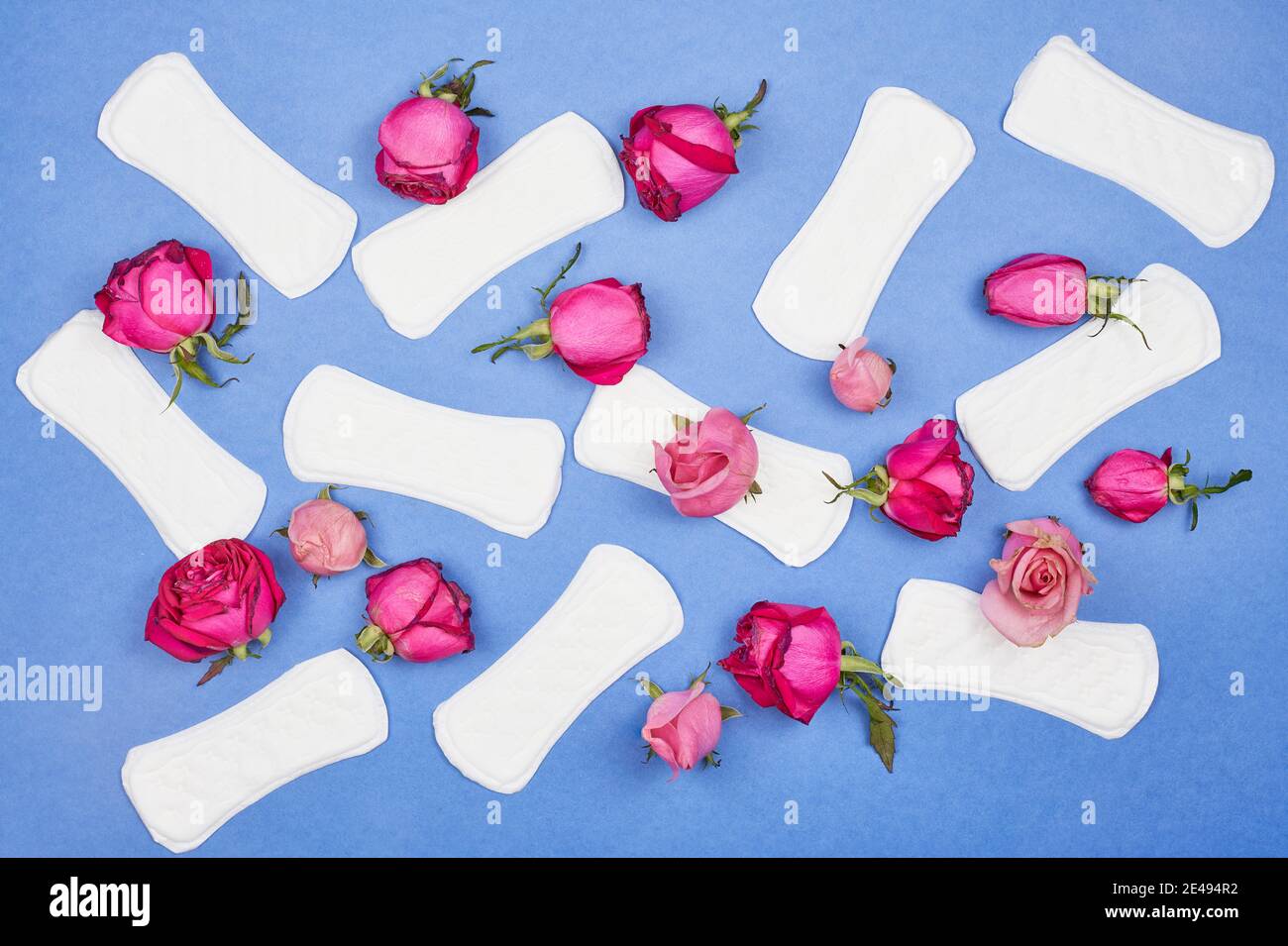 Feminine Damenbinden mit Rosenblüten auf blauem Hintergrund. Symbol für Menstruationszyklus, weibliche Pflege, Menstruation und Intimprodukte Stockfoto