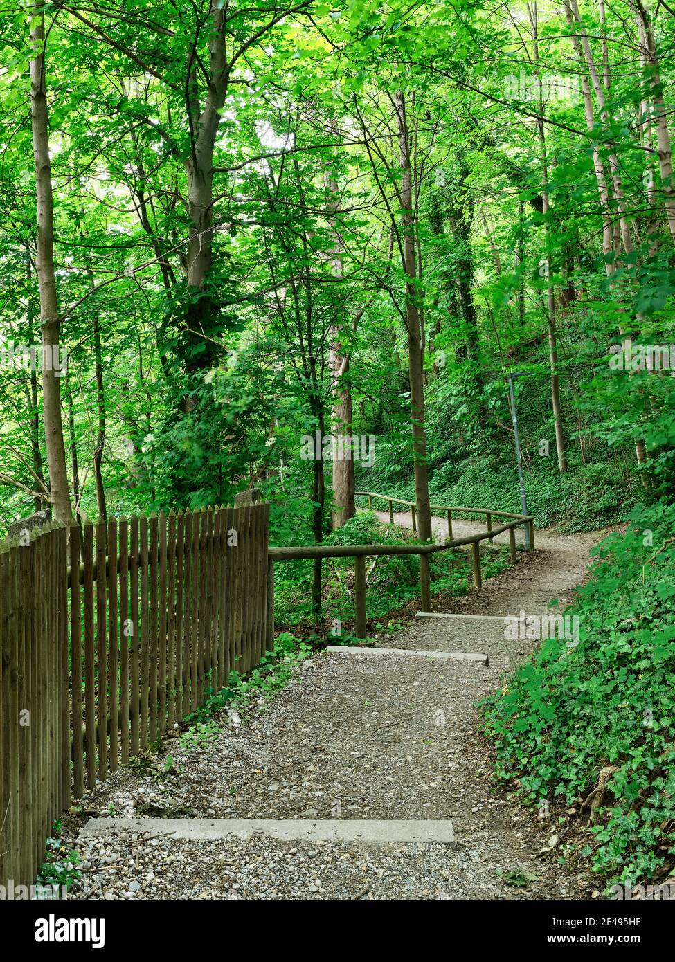 Historische Stadtrundfahrt, Waldweg, Berg, Laubwald, Stadtrundfahrt, historische Tour, Tour Stockfoto