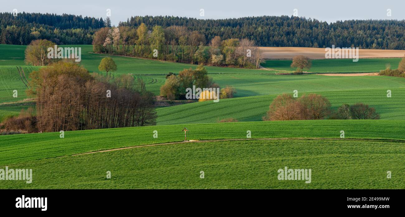 Wiesen, Ackerland, Felder, Landwirtschaft, Wald, Bauernwald, Wald, Baumgruppen, Holzkreuz, Hang, hügelig, Frühlingsgrün Stockfoto