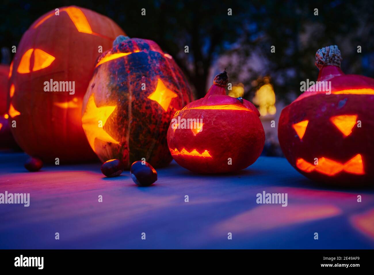 Geschnitzte Kürbisse für Halloween, beleuchtet, Stockfoto