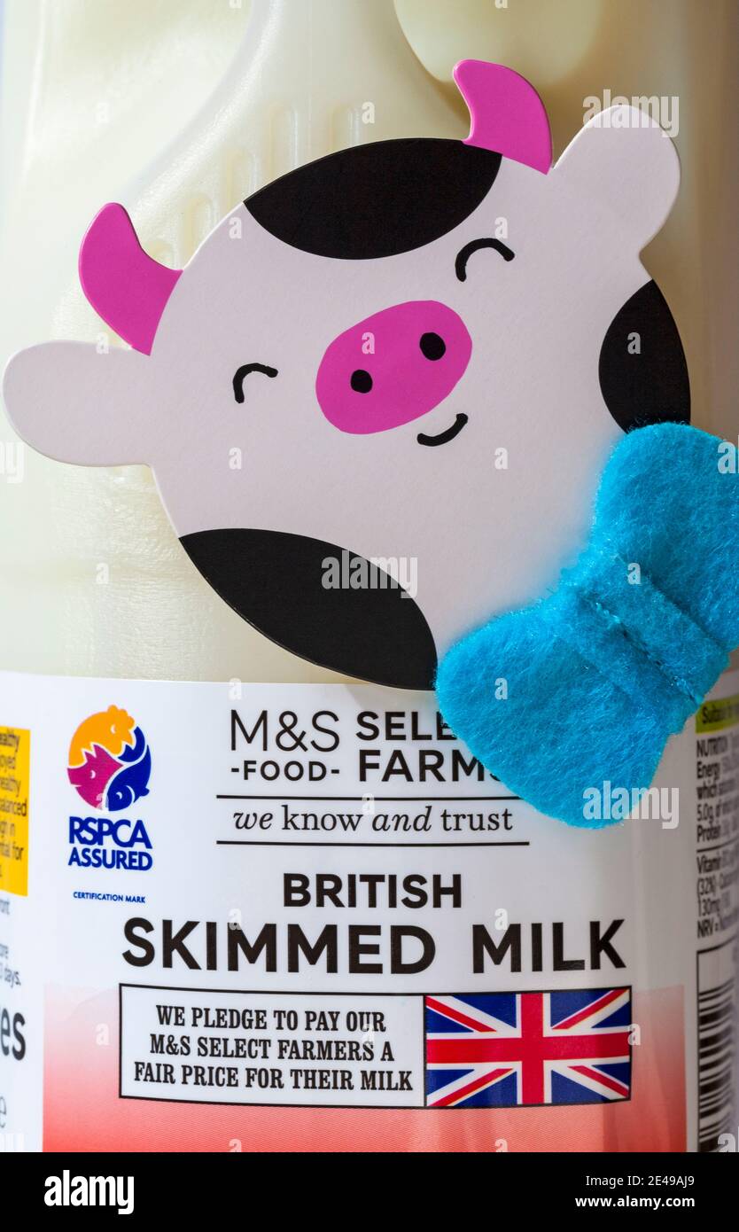 Lustige Kuhdekoration auf Karton mit M&S britischer Magermilch - Wir verpflichten uns, unseren M&S ausgewählten Landwirten eine Zahlung zu leisten Fairer Preis für ihre Milch RSPCA versichert Stockfoto
