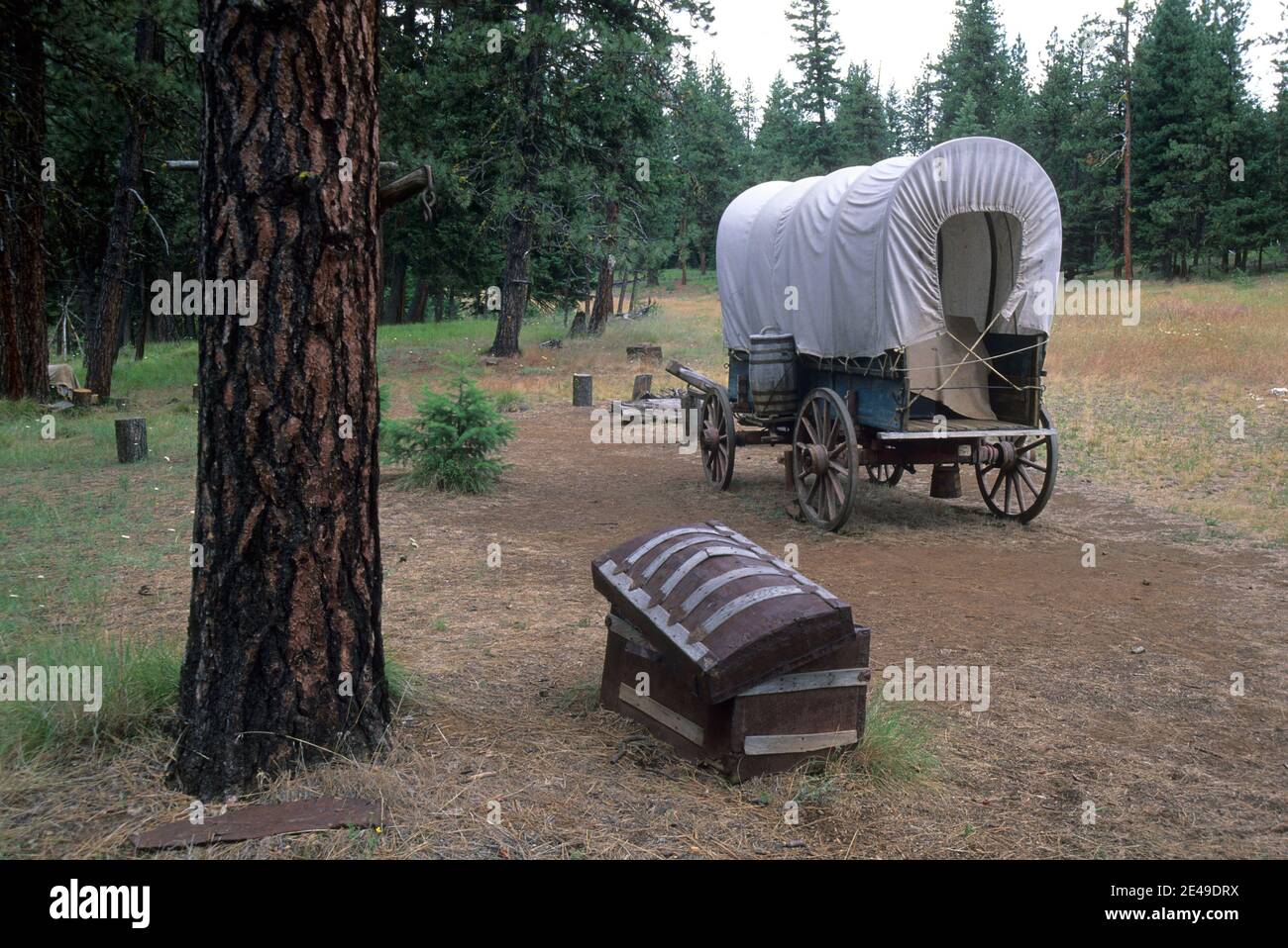 Planwagen, Blue Mountain Kreuzung interpretierende, Oregon Trail National Historic Trail, Wallowa-Whitman National Forest, Oregon Stockfoto