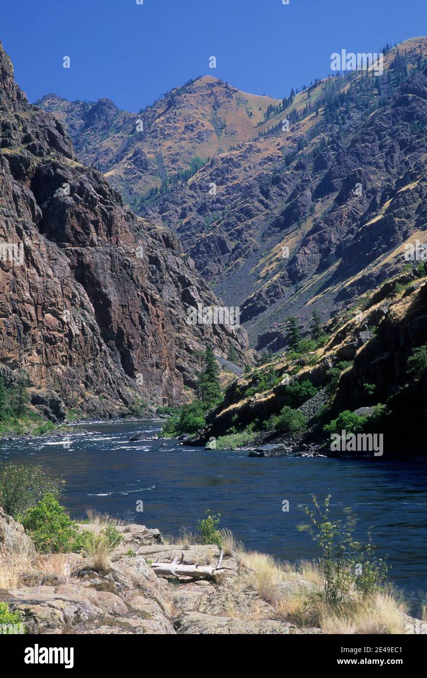 Snake River vom Gestüt Creek Trail, Schlange Wild & Scenic River, Hells Canyon National Recreation Area, Oregon Stockfoto