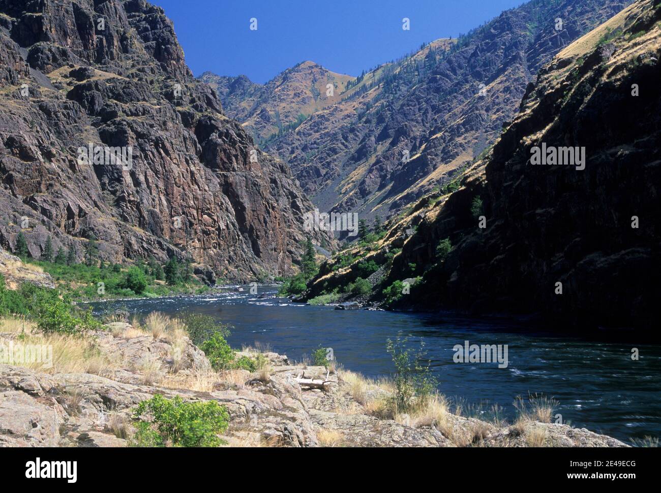 Snake River vom Gestüt Creek Trail, Schlange Wild & Scenic River, Hells Canyon National Recreation Area, Oregon Stockfoto