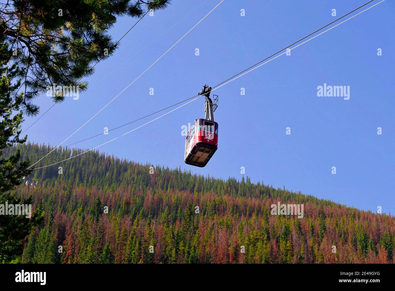 Jasper Sky Tram in Jasper, Jasper National Park, Rocky Mountains, Alberta, Kanada Stockfoto