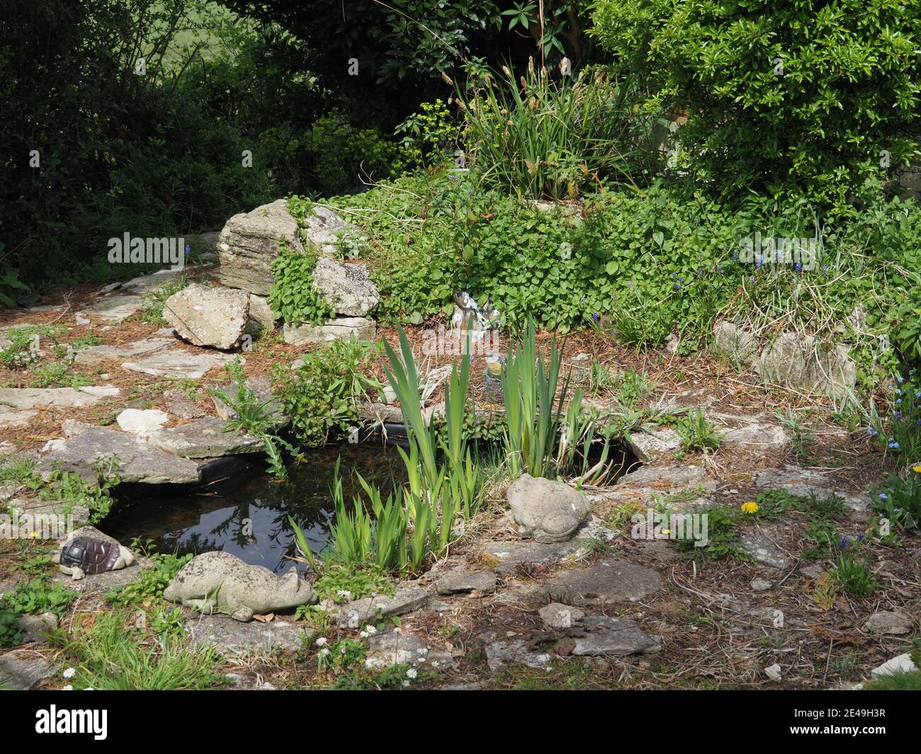 Kleiner gartenteich Fotos und Bildmaterial in hoher Auflösung Alamy