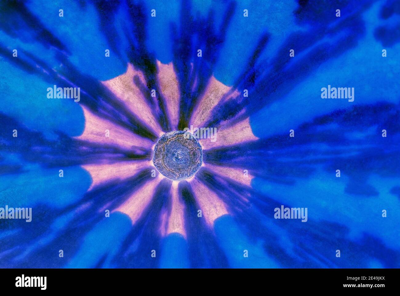 Nahaufnahme der Spitze eines Zierkürbis, der die Details und strahlenartige Struktur und Muster zeigt, die um den Kürbis strahlen. Farblich verändert, horizontal Stockfoto