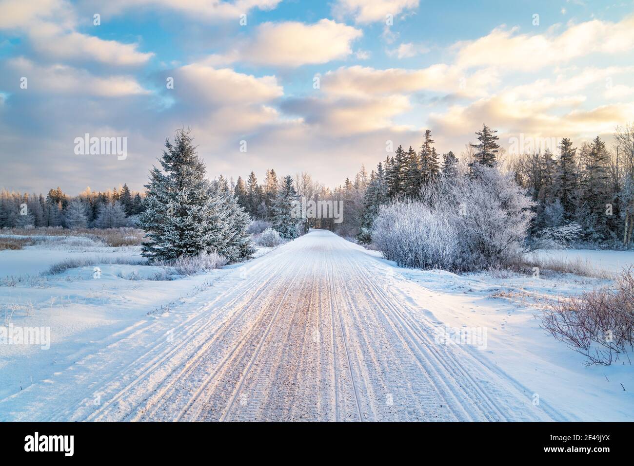 Der Confederation Trail wird auch als Trans Canada Trail bekannt Ist ein Schneemobil-Trail im Winter läuft die Länge der Die Provinz Prince Edward Island Stockfoto