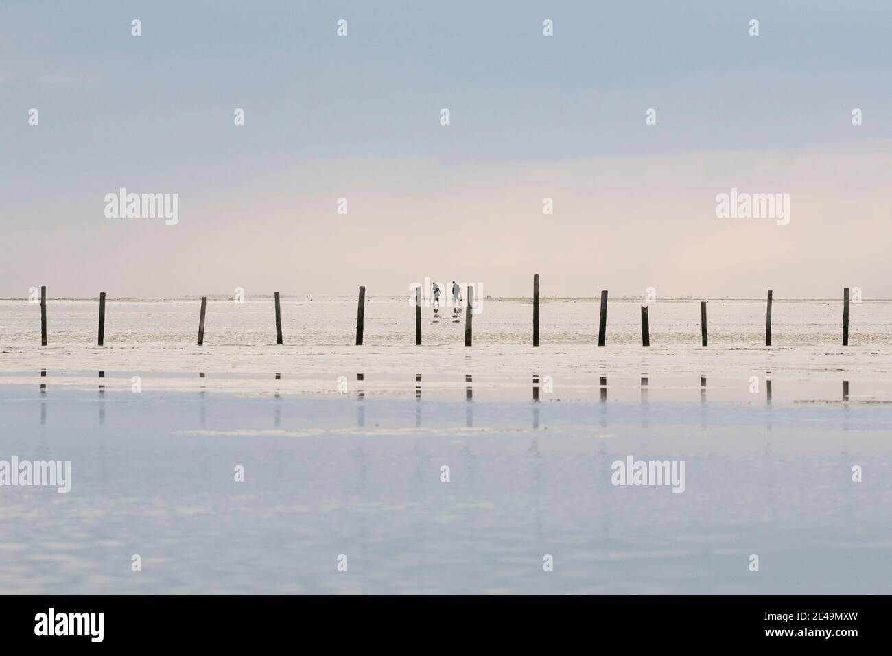 Holzpfosten zeigen den Weg ins Wattenmeer mit zwei Personen im Hintergrund in St. Peter Ording, Nordfriesland, Schleswig Holstein, Deutschland Stockfoto