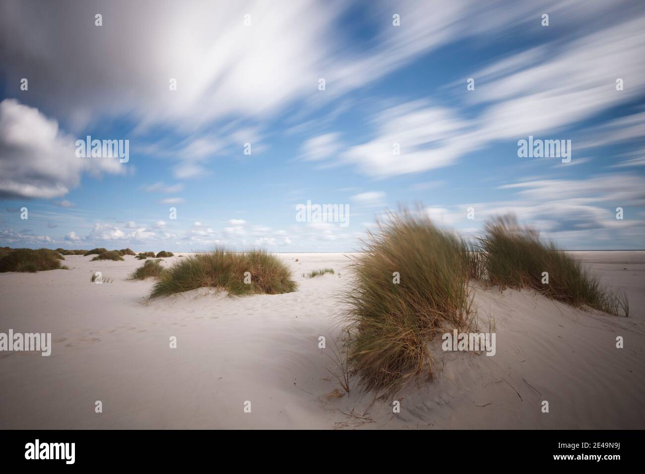 Düne mit Strandgras und Seilleiter als Strandkreuzung auf der Insel Amrum in Nordfriesland, Schleswig-Holstein, Deutschland Stockfoto