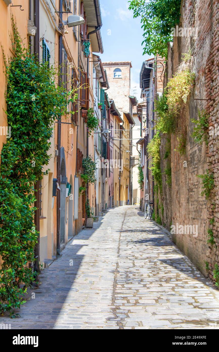 Vertikale Aufnahme einer Gasse zwischen Steingebäuden mit Grün Anlagen Stockfoto