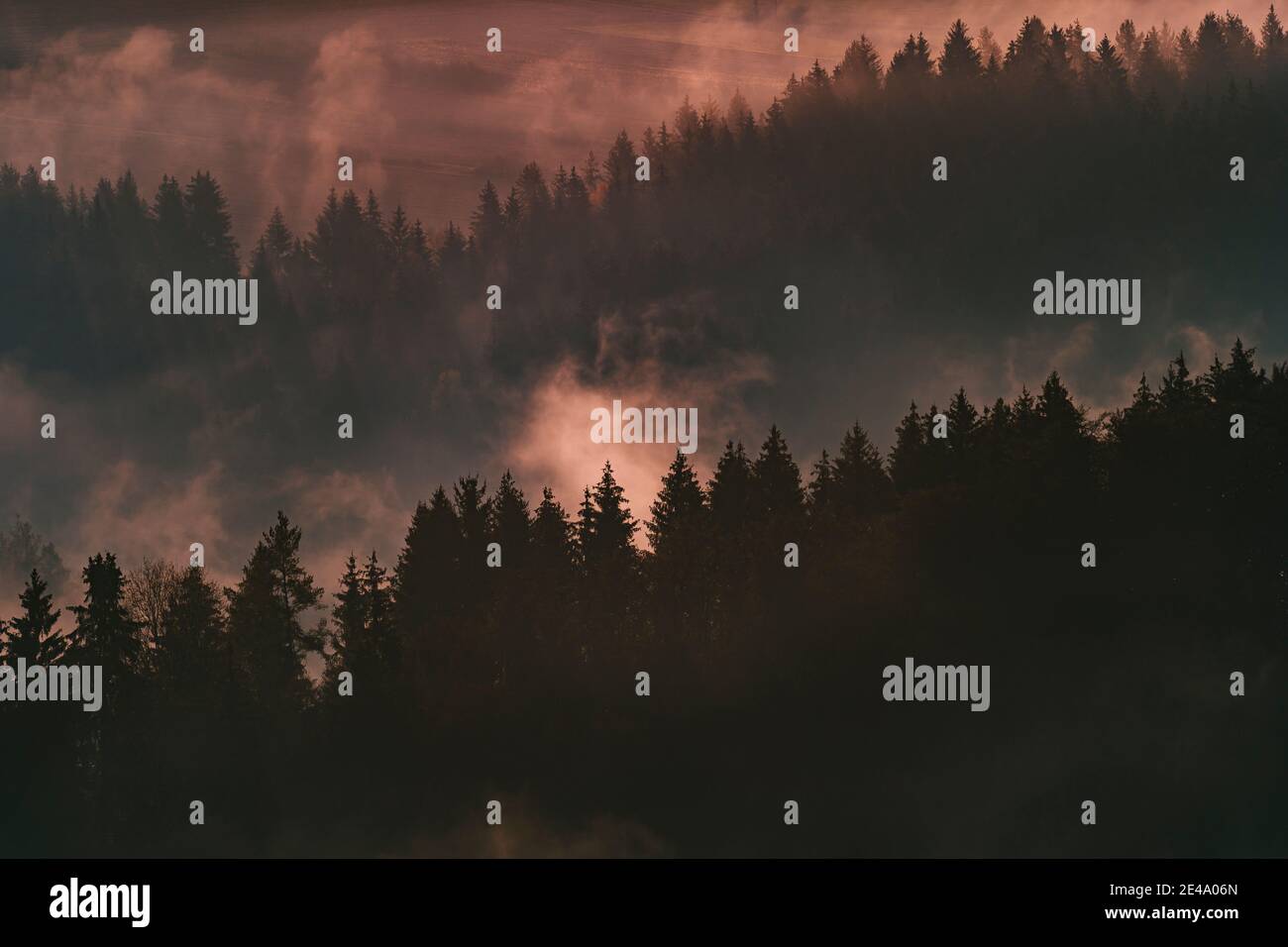 Wald, Nebel, Sonne, Schwäbische Alb, Baden-Württemberg, Deutschland, Europa Stockfoto
