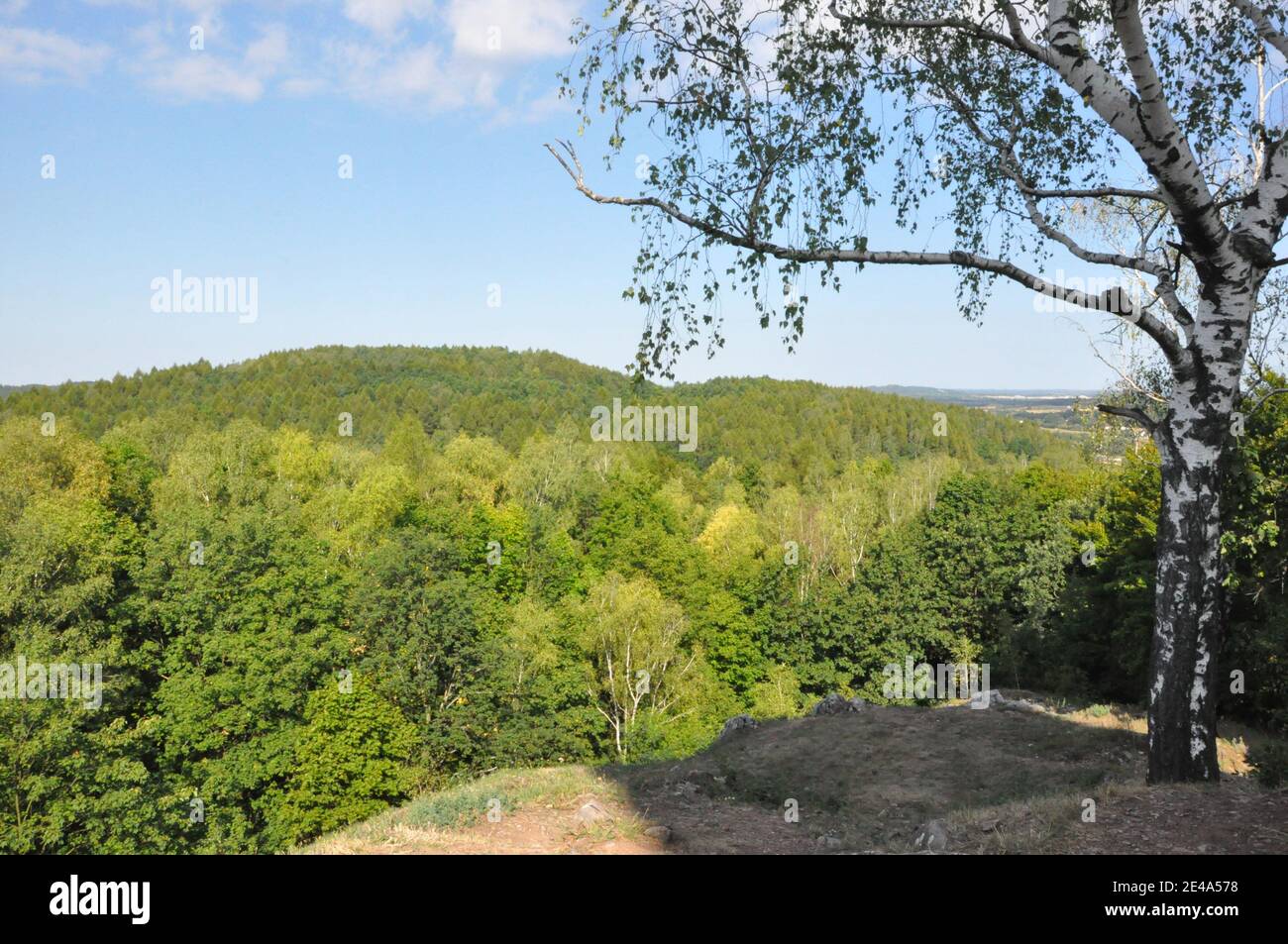 Blick auf die Hügel im Świętokrzyskie-Gebirge. Stockfoto