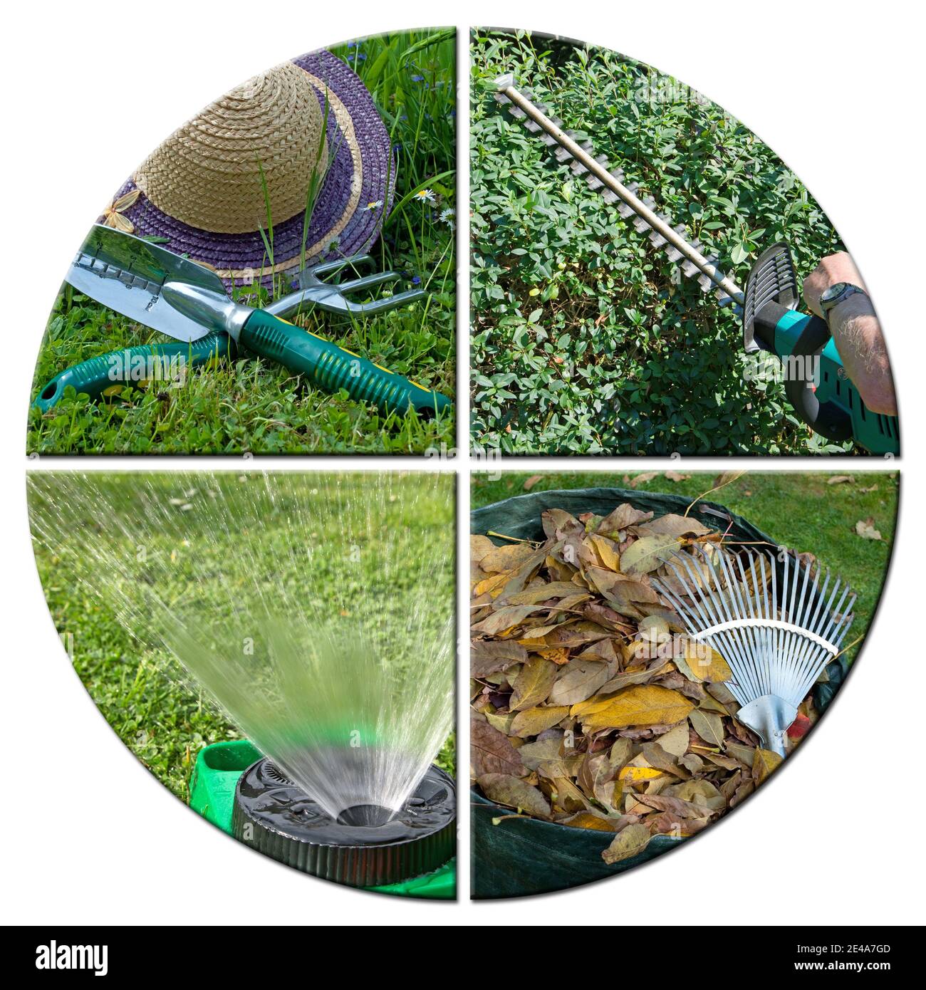 Bilder von der Gartenarbeit in einer Collage Stockfoto